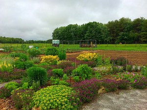 Bowdoin Organic Garden